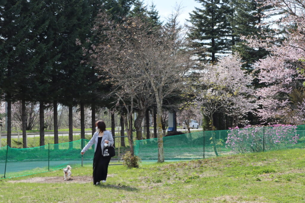 テトラリゾート十勝川 ドッグラン