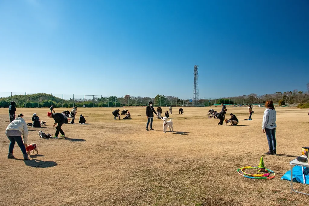 32901-299-75d5b4b2743ab9168aa8659ebd813fdc-1200×800