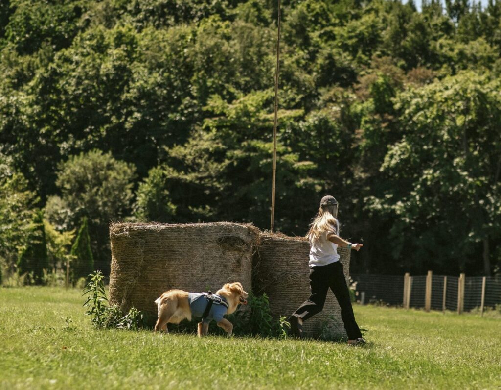 imgi_8_849110_809604