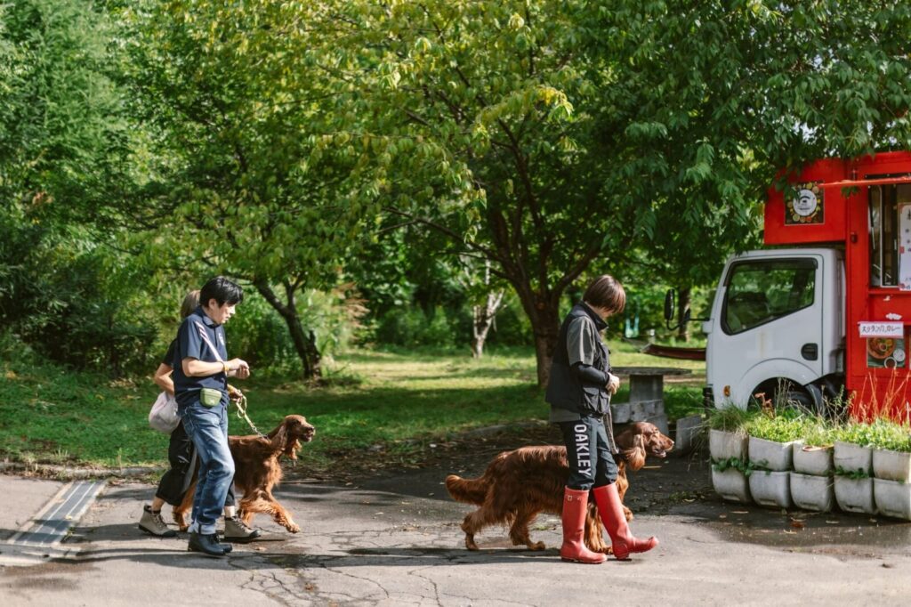 imgi_9_769270_416497