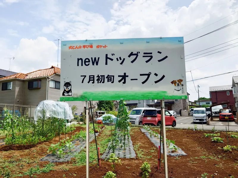 imgi_10_20250705_130636290-2