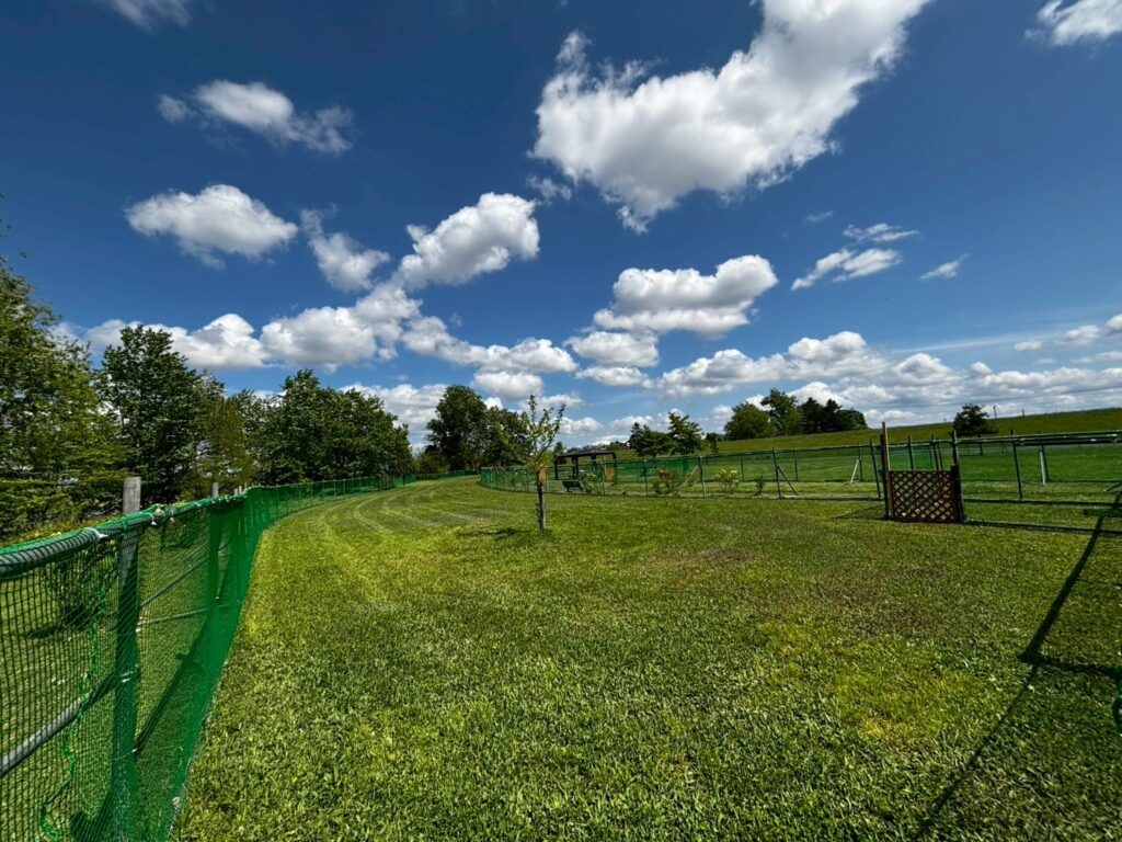 imgi_13_LINE_ALBUM_20250527_250527_6