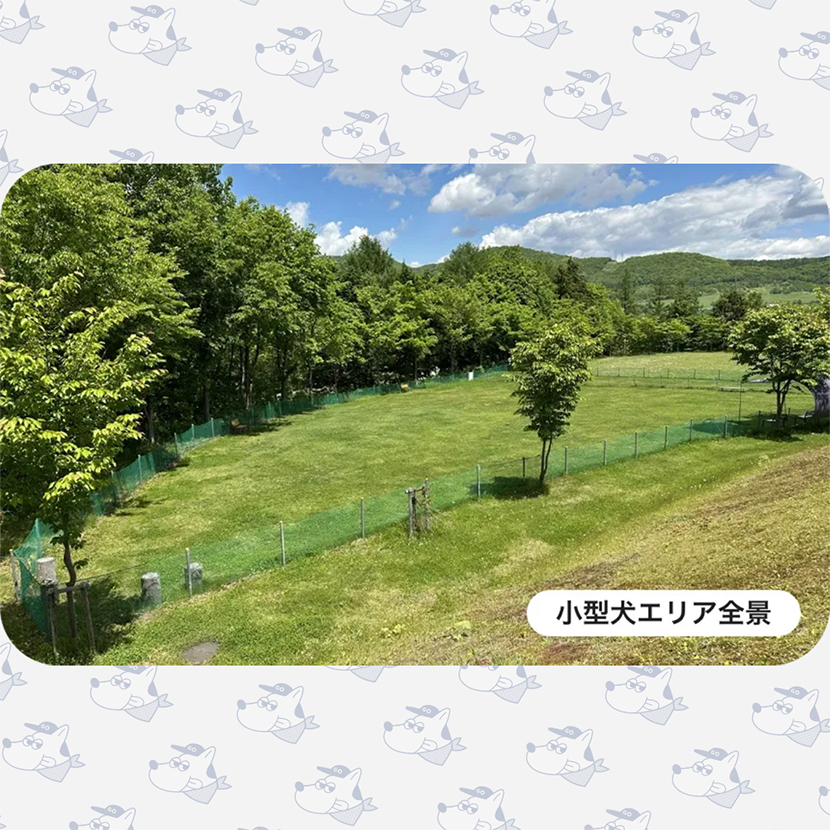 imgi_31_dr-erea-map-img3