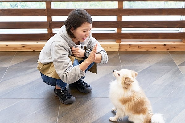 imgi_22_top_enjoy_img02