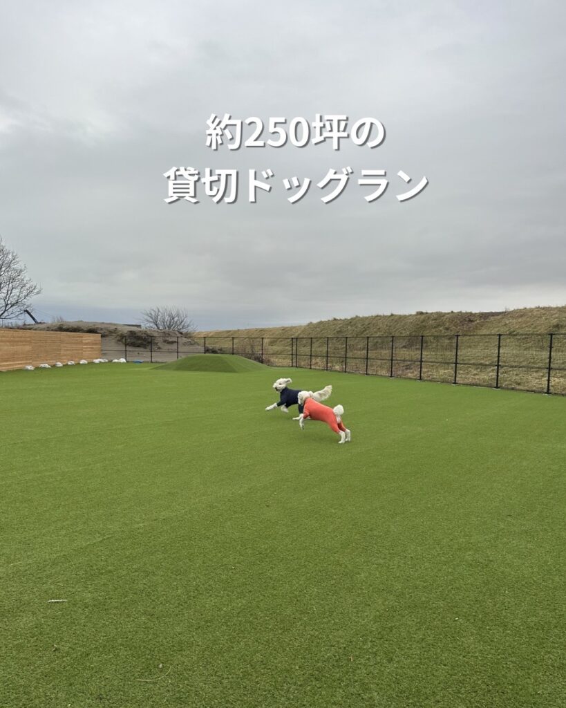 imgi_30_652760563_18024938357647213_7564258250623611756_n